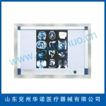 嵌入式雙聯觀片燈